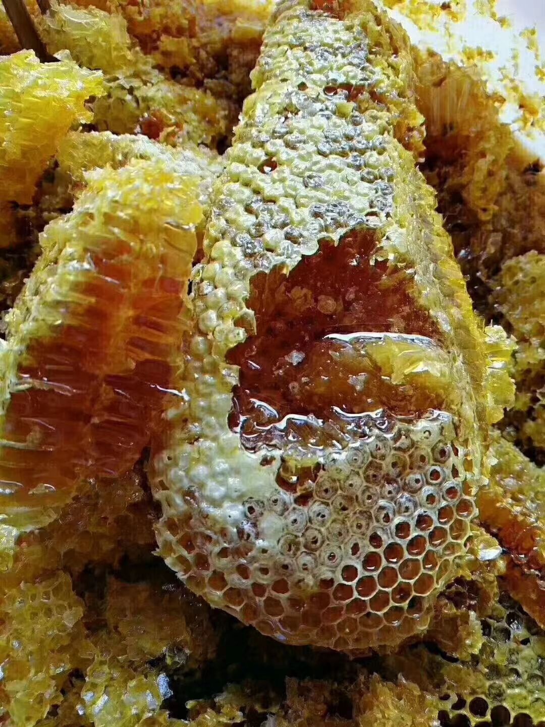  野生蜂蜜
